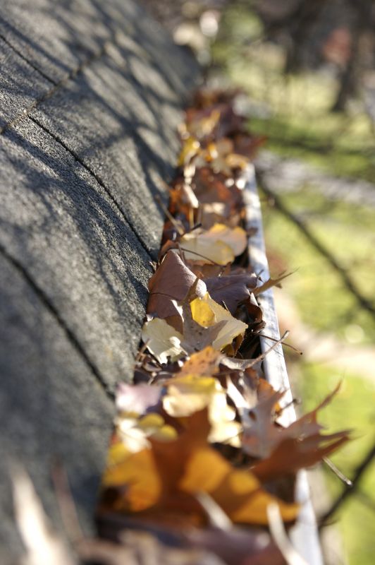 Gutter Clog Removal in Sacramento, CA
