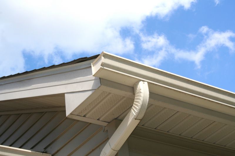 Roof Downspout Repair in Longmont, CO